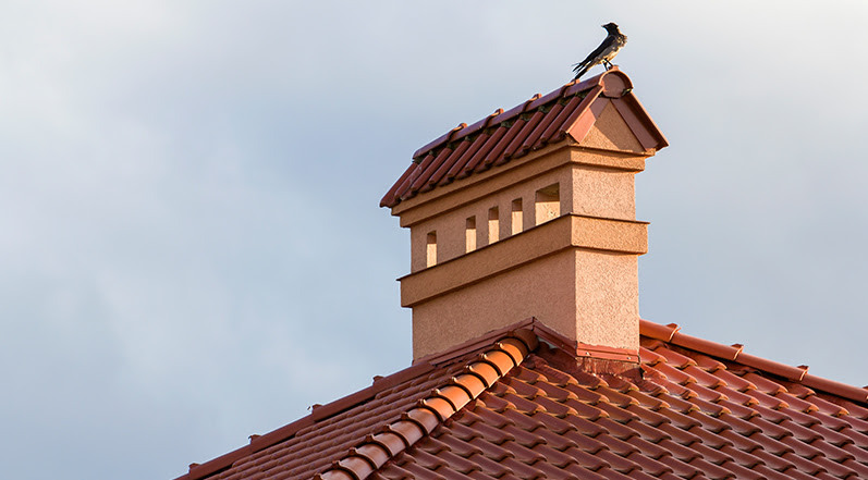 A Bird on a Roof