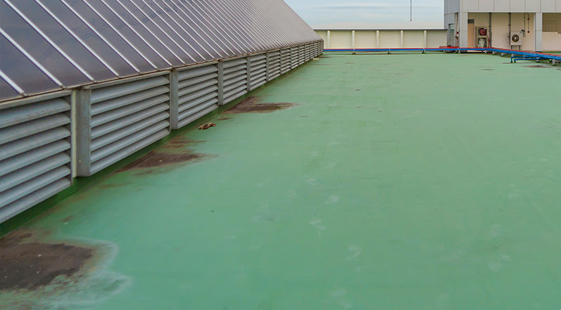 A Commercial Roof in Need of Maintenance