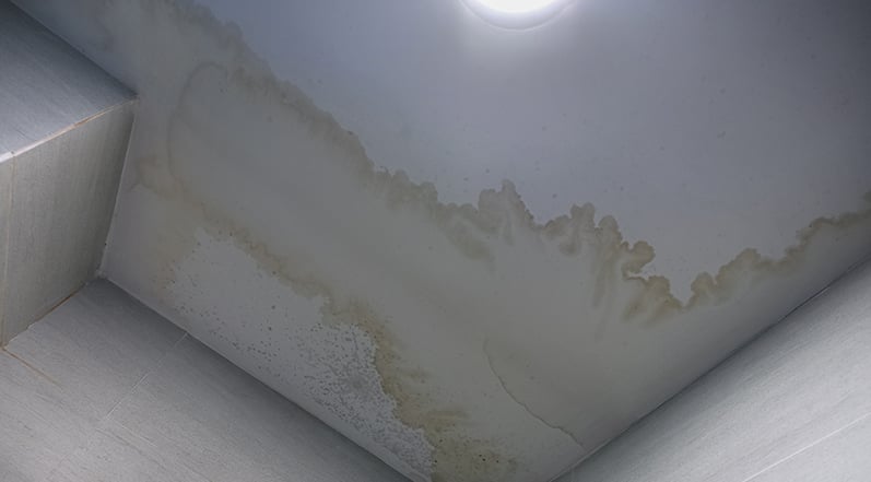 A Large Roof Leak