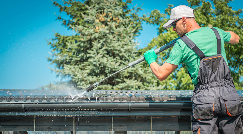A Professional Cleaning Mold Off a Roof