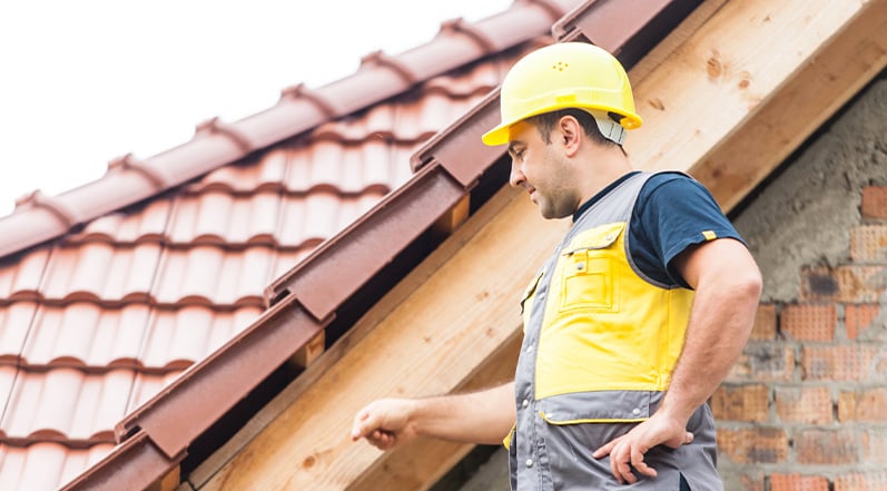 A Professional Roof Inspector