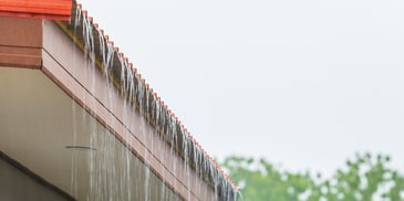 A Roof in the Rain