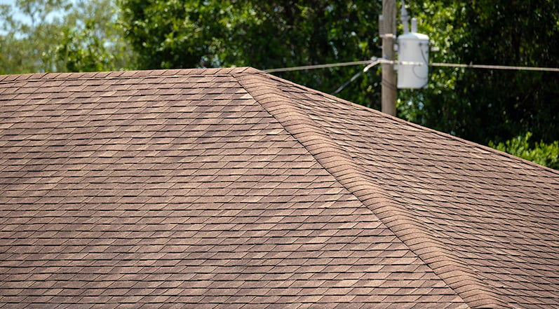 A Well-Maintained Roof-1