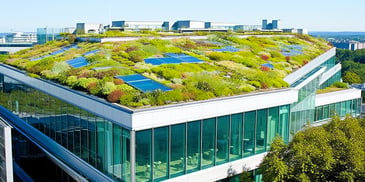 Atlanta's LEED Advantage Green Roof Installs