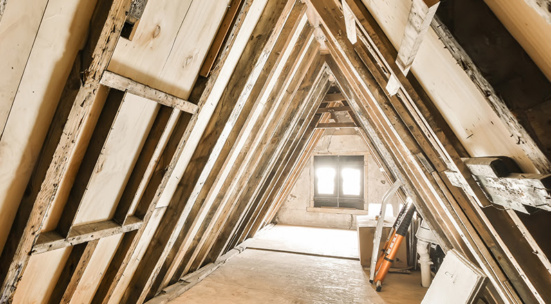 Catch the Hidden Moisture Before It Spreads