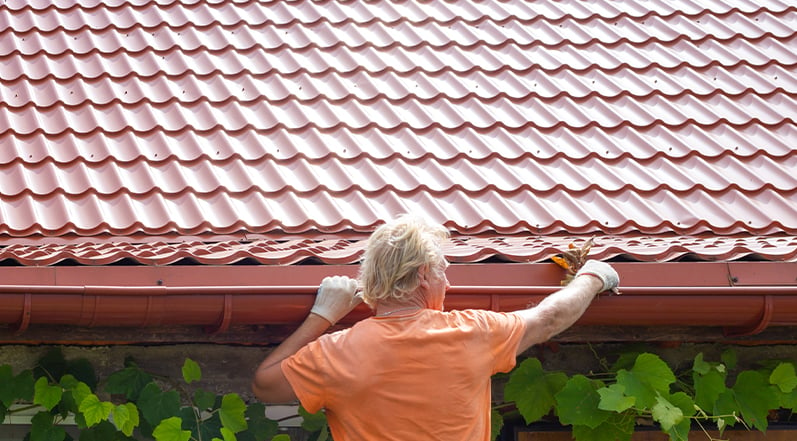 Cleaning Roof Gutters