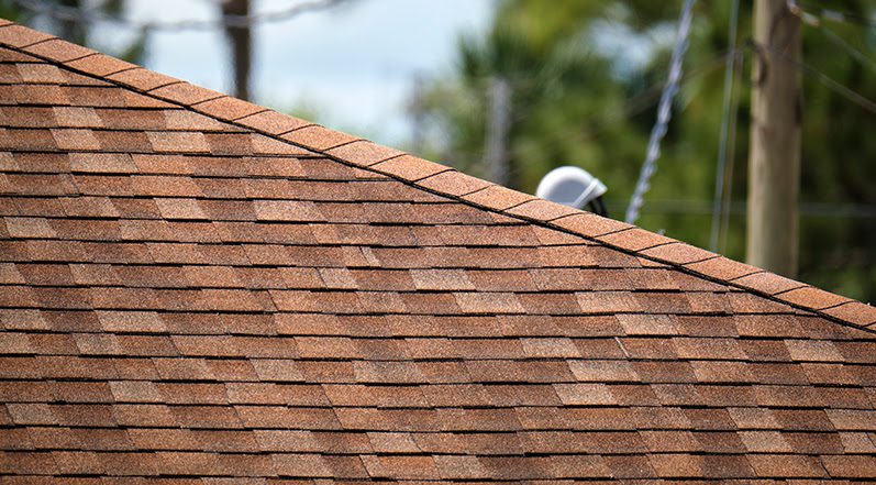 Copper and Zinc Help Keep Algae Away