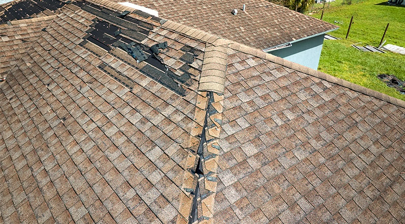 Damaged Roof Shingles