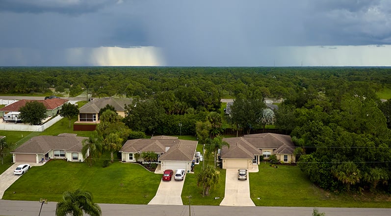 Homes in a Neighborhood