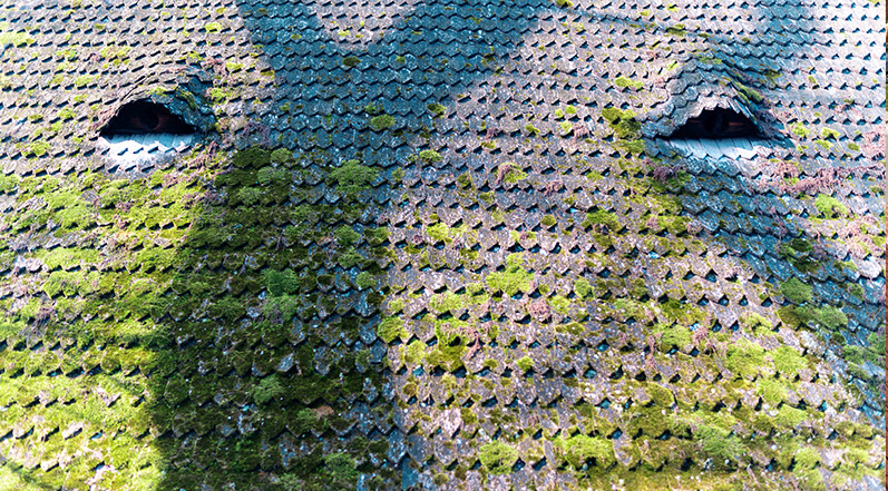 How Shade and Airflow Affect Your Roof