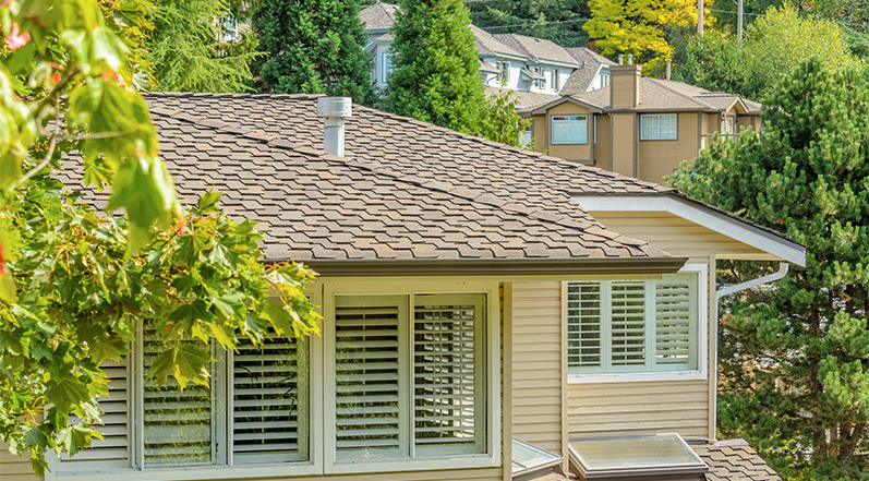 How the Tampa Climate Affects Your Roof