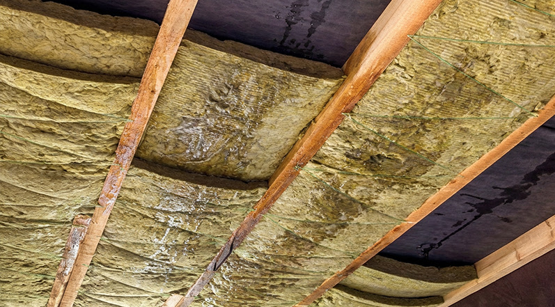 How to Spot Water Damage