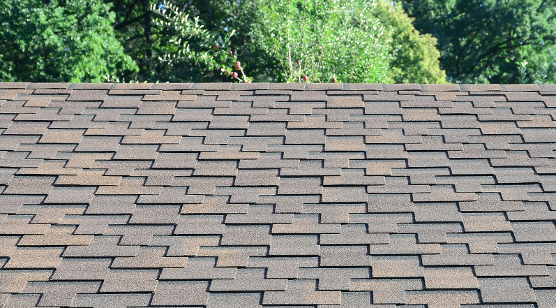 Installed Roof Shingles