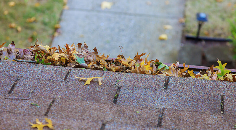 Leaves Clogging a Gutter