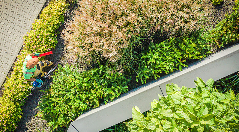 Maintenance and Longevity of Green Roofs