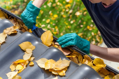 Man cleaning the gutter from autumn leaves-1