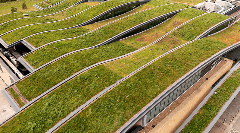 Protect The Roof Over Your Head-Oct-29-2025-10-22-28-8479-AM