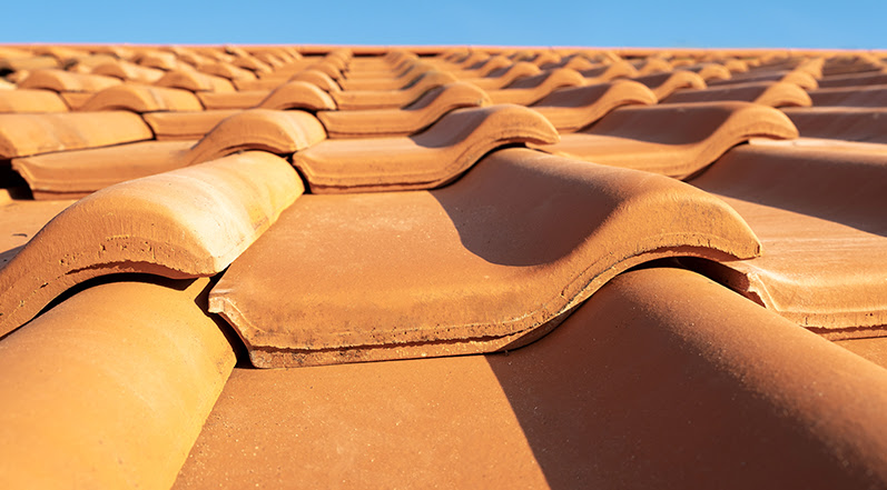 Protect Your Tile Roof from Algae Growth