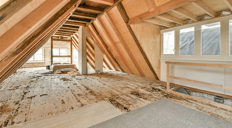 Signs That Your Roof Has Termites