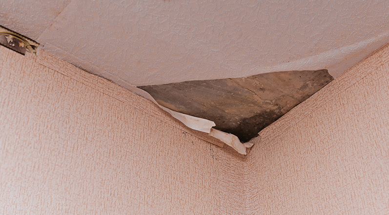 Signs of Water Damage Inside Your Office