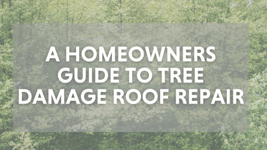 header picture for tree damage roof repair guide