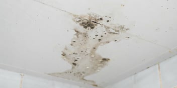 Tampa Commercial Roof Condensation Problems and Fixes
