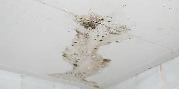 Tampa Commercial Roof Condensation Problems and Fixes