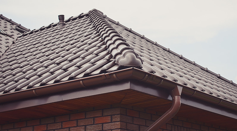 Tampa Gets Heavy Rain Each Year