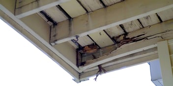 Tampa Termite Damage to Roof Decking and Repairs