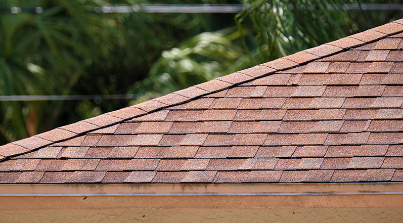 The Best Storm Resistant Shingles for Florida