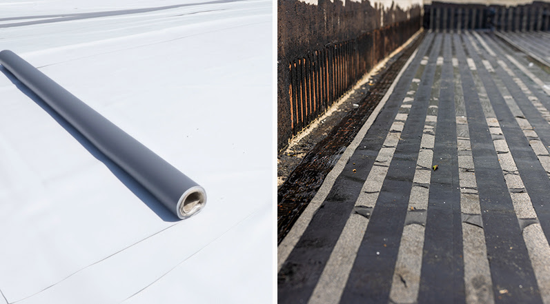 The Life and Care of Both Roofs