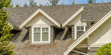 The Most Common Roof Problems for Tampa Homeowners