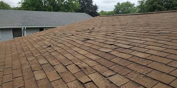 What Causes Tampa Roof Shingle Curling in Summer