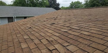 What Causes Tampa Roof Shingle Curling in Summer