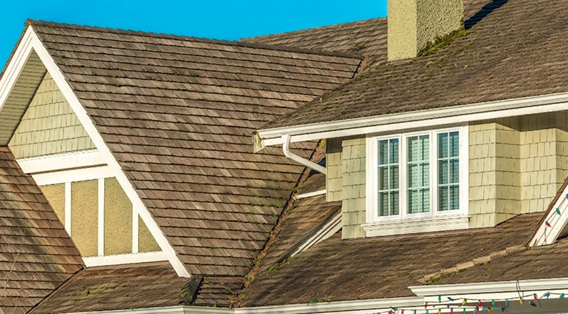 What Moss and Algae Do to Your Roof