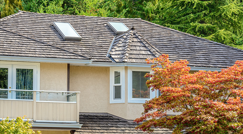 What Tampa Weather Does to a Roof