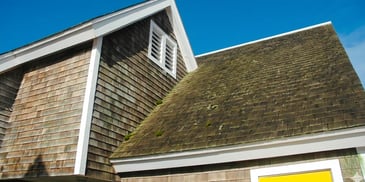 What Type of Roofing Resists Moss and Algae in Tampa