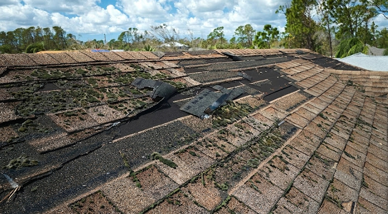 Wood Rot and Mold Can Spread Without Warning