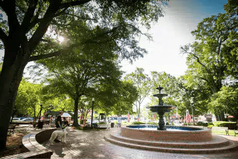 Busy park area with water fountain